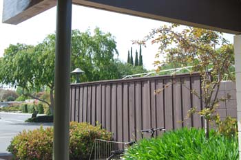 view from meeting patio